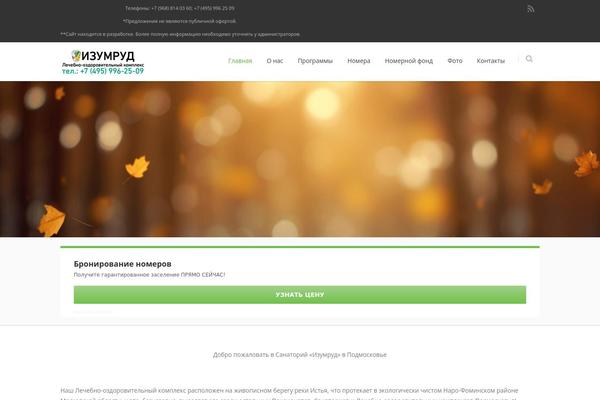 Converio theme site design template sample