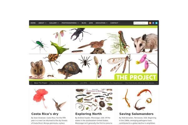 Natural theme site design template sample