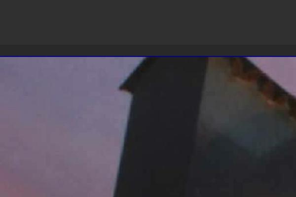 Tortuga theme site design template sample