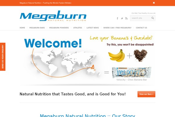 Choices theme site design template sample