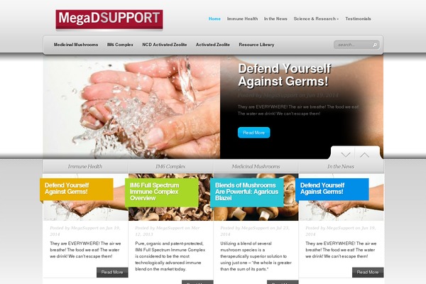 TheSource theme site design template sample