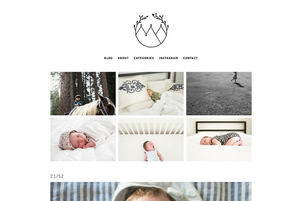 Prophoto4 theme site design template sample
