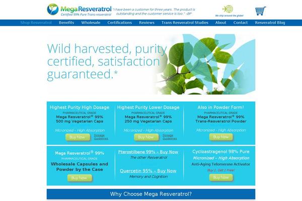 Sterling Child theme site design template sample