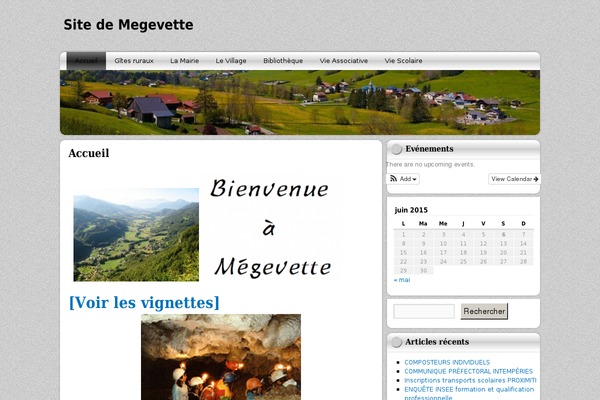 NewStone theme site design template sample