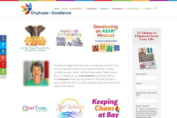 Divichild theme site design template sample