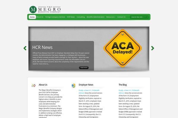 TheProfessional theme site design template sample