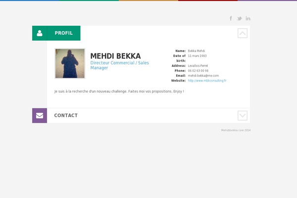 Cv theme site design template sample