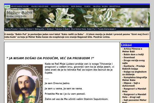 Atahualpa353 theme site design template sample