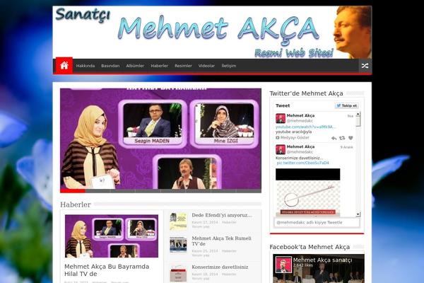 Sahifa theme site design template sample