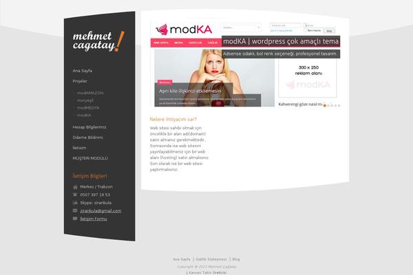 RT-Theme 15 theme site design template sample