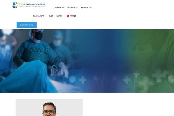 Site using Unlimited-elementor-inner-sections-by-boomdevs plugin