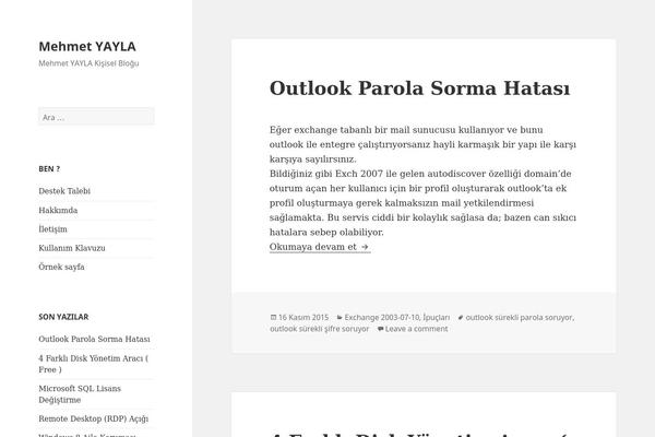 Founder theme site design template sample