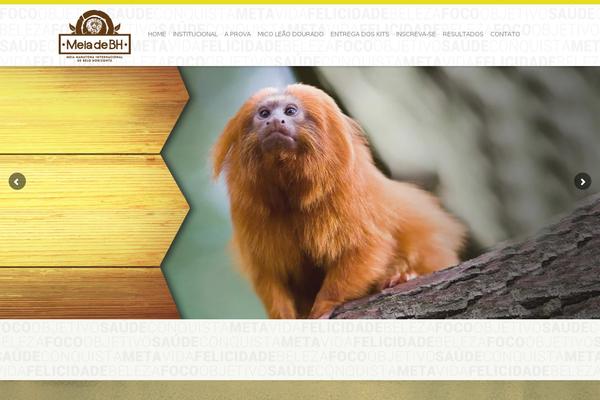 Zeyn theme site design template sample