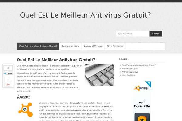 Simple Catch theme site design template sample