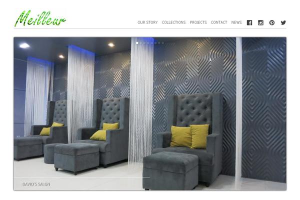 Mayer theme site design template sample