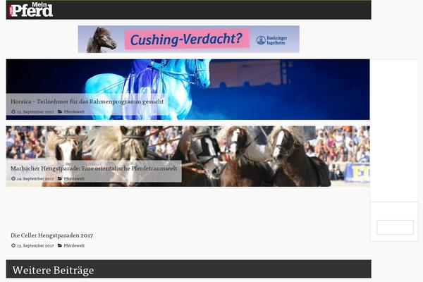 Site using Jtsv-newsletter-signup plugin