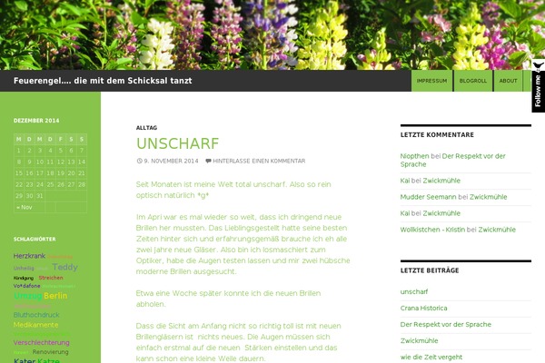 Site using Polaroid Gallery plugin