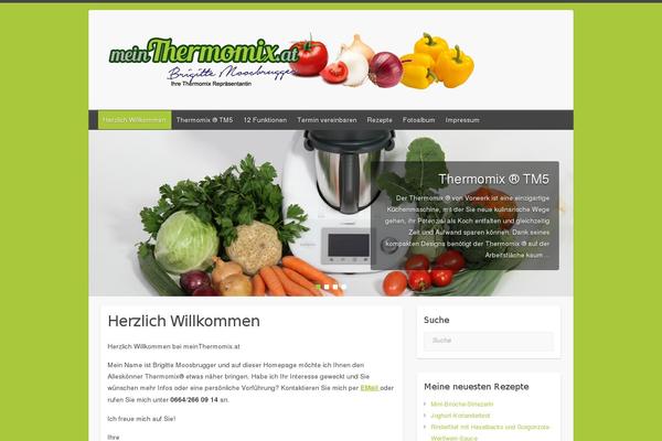 Travelify theme site design template sample
