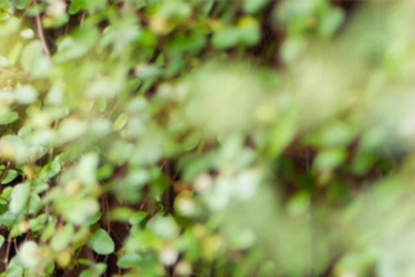 Intuition theme site design template sample