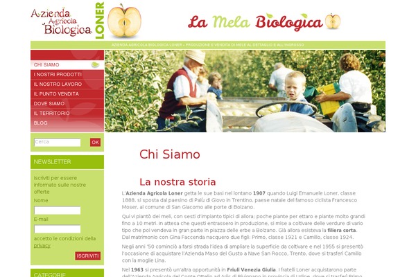 Site using ALO EasyMail Newsletter plugin