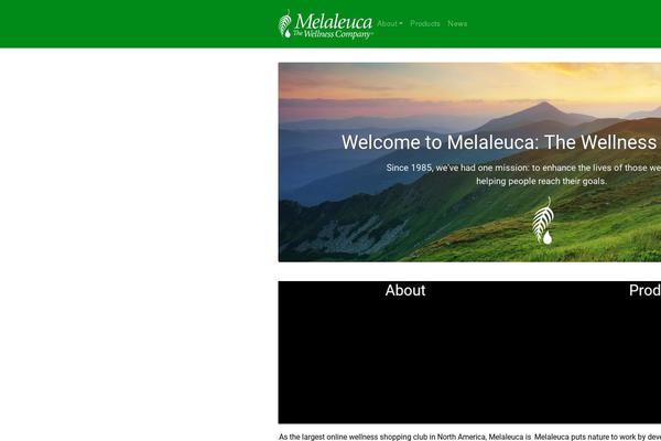 Understrap theme site design template sample