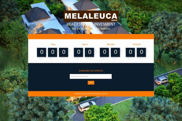 melaleucagroup.biz site used Javo-home