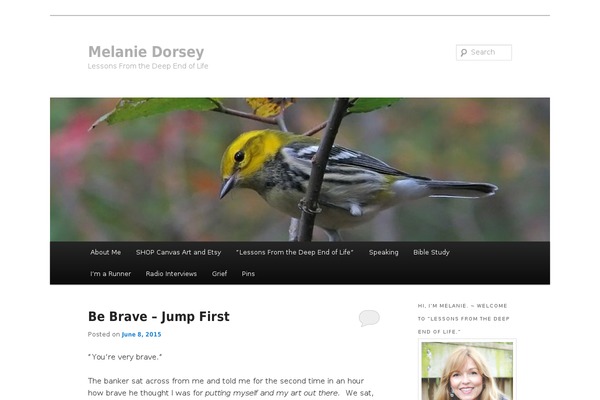 Site using Dailymile Widgets plugin
