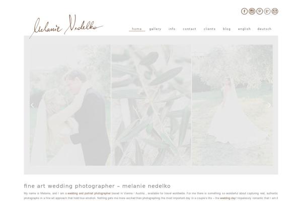 Site using Pinterest Image Pinner From Collective Bias plugin