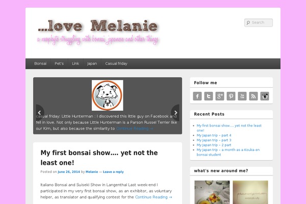 Catch Box Pro theme site design template sample