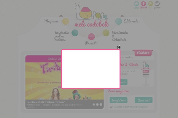 Site using Advanced Custom Fields plugin