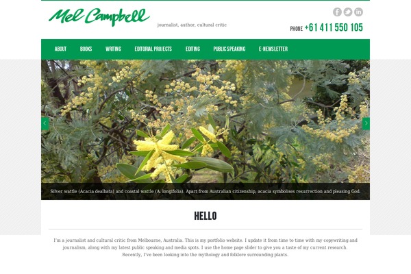 Flozo theme site design template sample