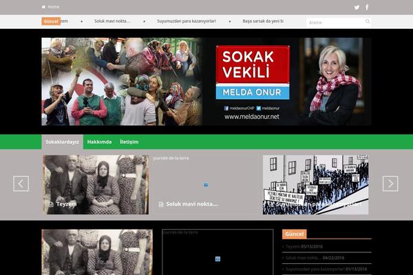 Discover theme site design template sample
