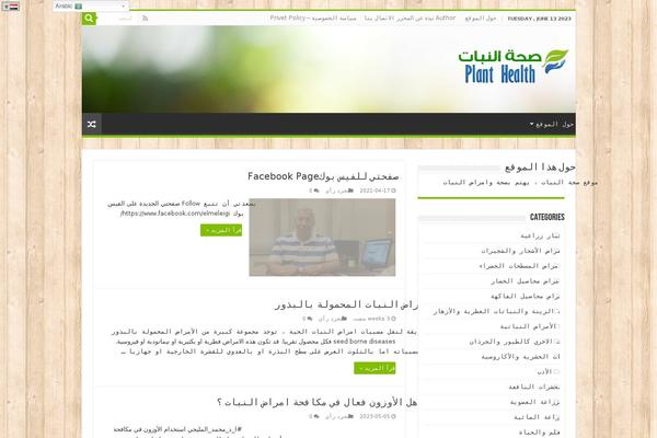 Site using More-lang plugin