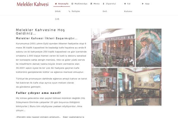 NUVO theme site design template sample