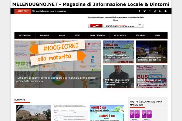ProfitMag theme site design template sample
