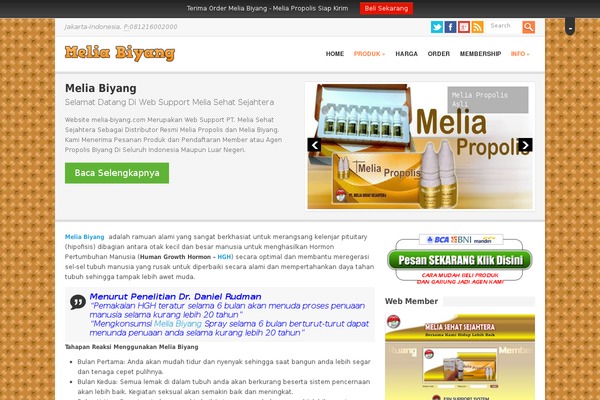 Elegantbos theme site design template sample