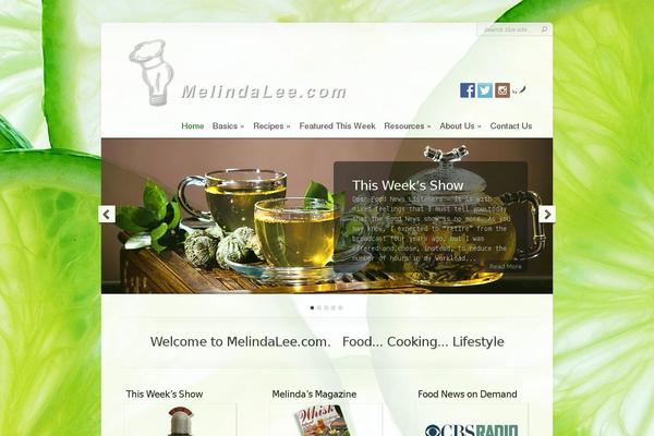Chameleon Child theme site design template sample
