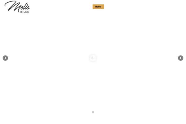 Startit theme site design template sample
