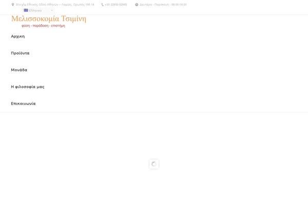 Healthyblog theme site design template sample