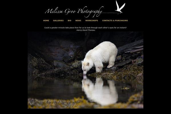 Photocrati-theme-v4.7.3.1 theme site design template sample