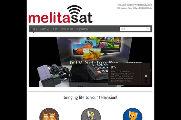 Blackbird theme site design template sample