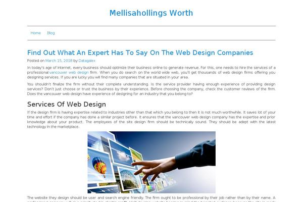 Chique theme site design template sample