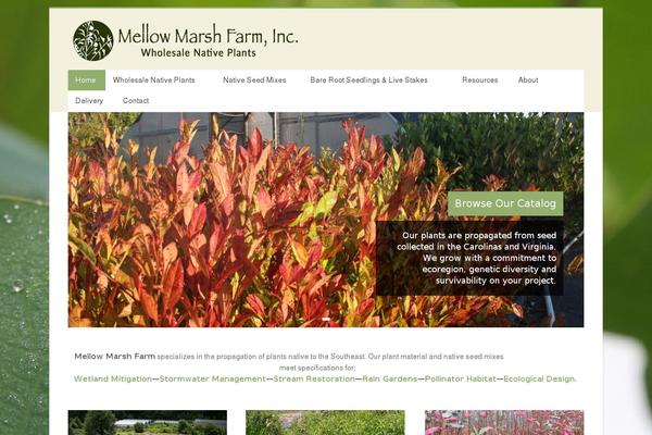 Accelerate theme site design template sample