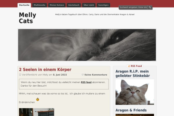 Site using WP Social Blogroll plugin