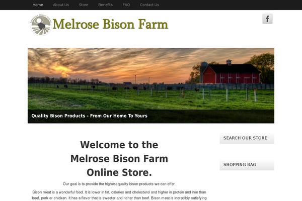 Neuro Pro 3 theme site design template sample