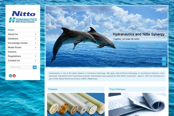 Site using Bellows-pro plugin