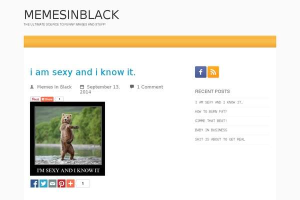 Contango theme site design template sample