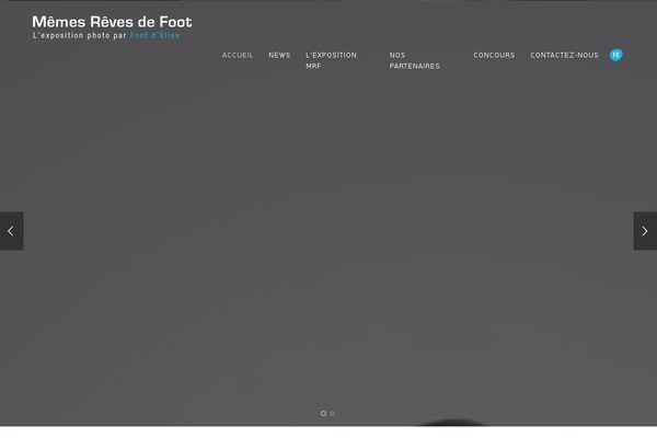 Site using Frontend Uploader plugin
