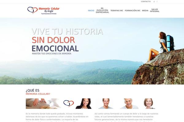 The7 theme site design template sample