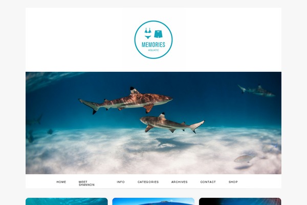 Prophoto4 theme site design template sample